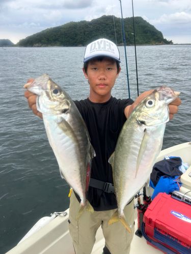 高知県西部