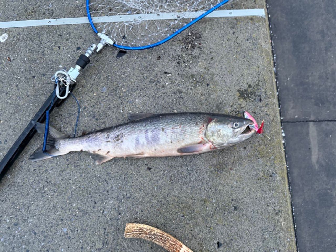 PALMS レラカムイ RKSS-136H+の最安値・インプレ・釣果 | 本音の口コミ