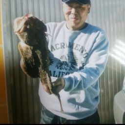 トウベツカジカ