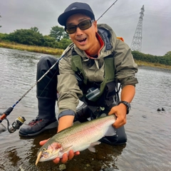 ニジマスの釣果