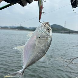 メッキ