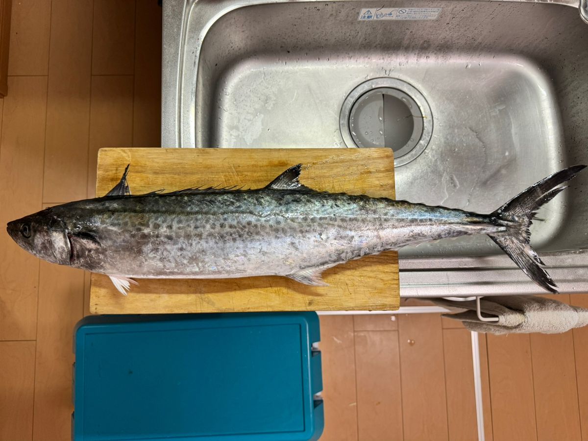 初心者脱却日記 [りゅー]さんの釣果 3枚目の画像