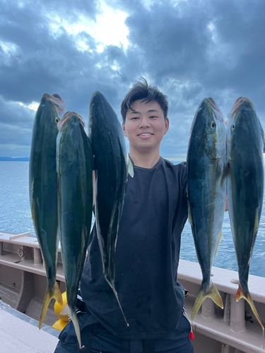 ハマチの釣果