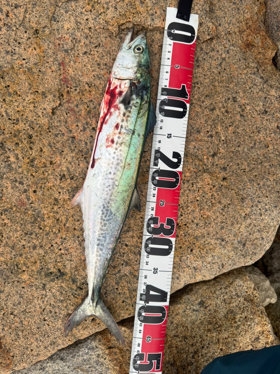 最終値下げ】Daiwa オーバーゼアAIR 1010M/MH中古品良品 オーバーゼア