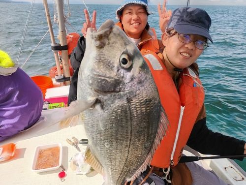 キビレの釣果