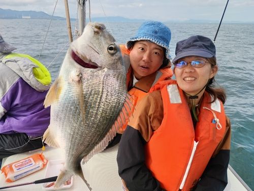 キビレの釣果