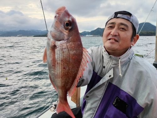マダイの釣果
