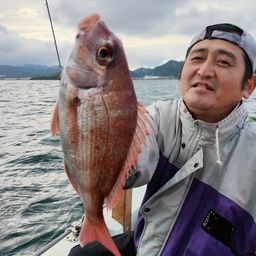 マダイ