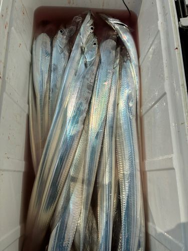 洲本沖