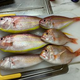 ソコイトヨリ