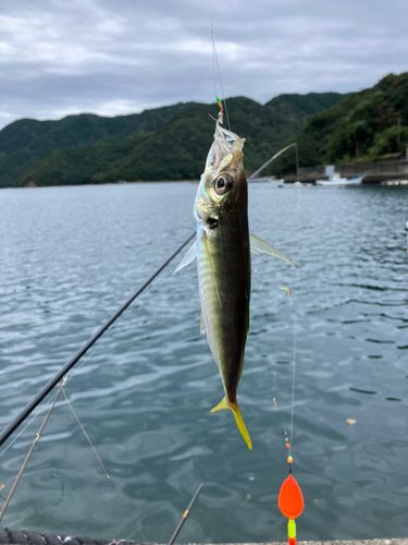 奈屋浦
