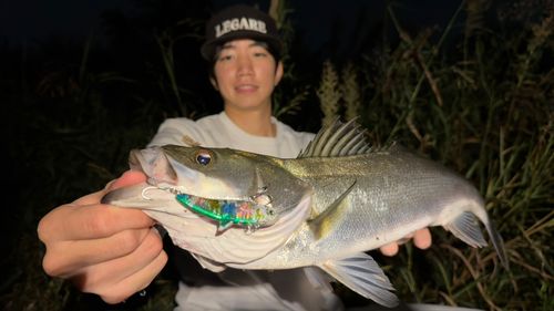 多摩川河口