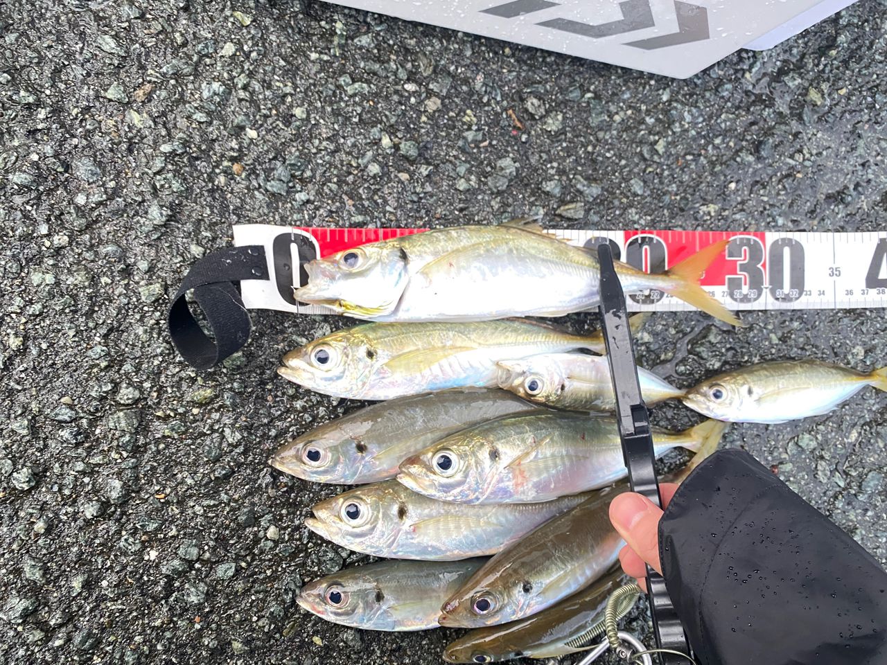 MajorCraft 鯵道 5G AD5-S622L/AJIの最安値・インプレ・釣果