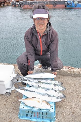 メジロの釣果
