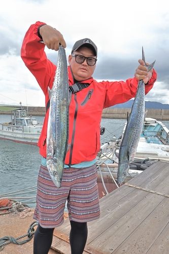 ハマチの釣果