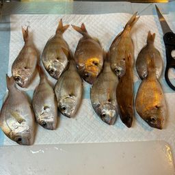 チャリコ