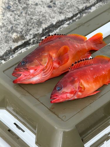 乙浜漁港