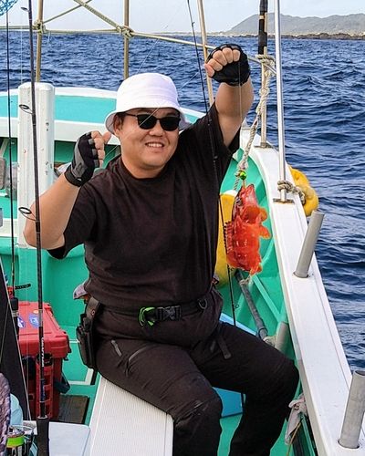 アカハタの釣果