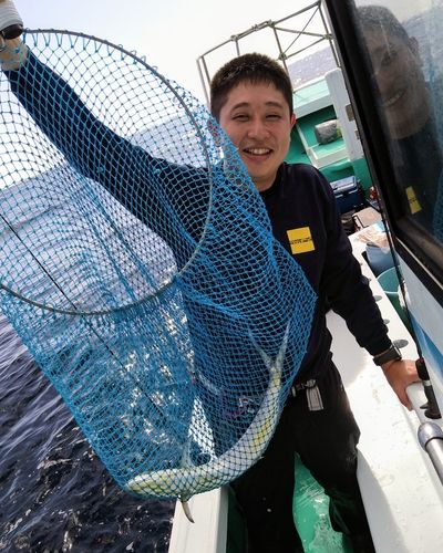 シイラの釣果