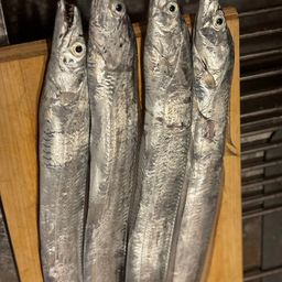 タチウオ
