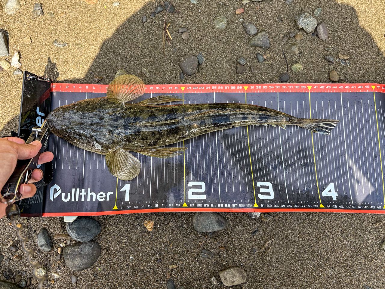 ダイワ 23シルバーウルフ 76MLB-S・W ダイワ シルバーウルフ 76MLB-S・W 23年モデル - 釣具のポイント