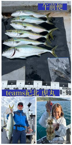 メジロの釣果