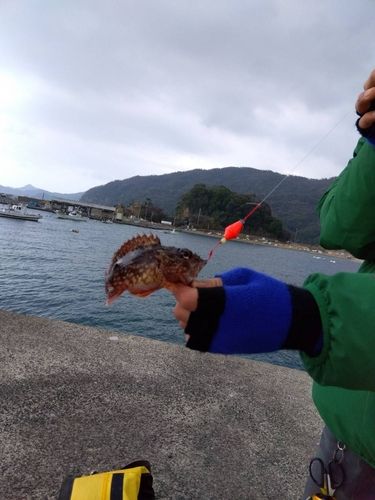 南大阪野池群