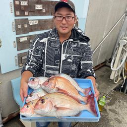 マダイ