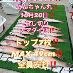 シロアマダイ
