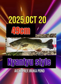 ラージマウスバスの釣果