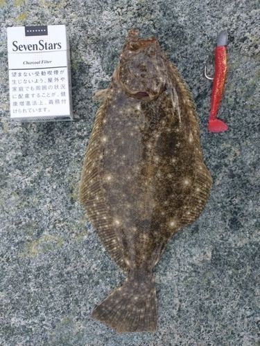 広田湾