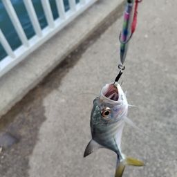 メッキ