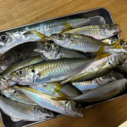 アジ