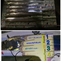タチウオ