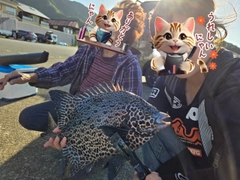 イシガキダイの釣果