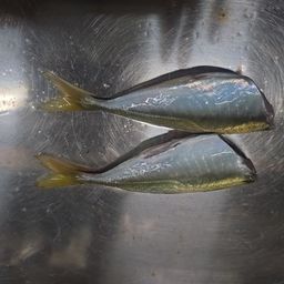 アジ