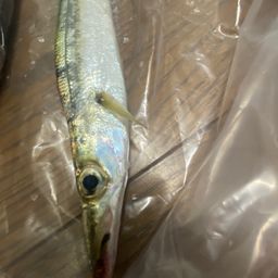 カマス