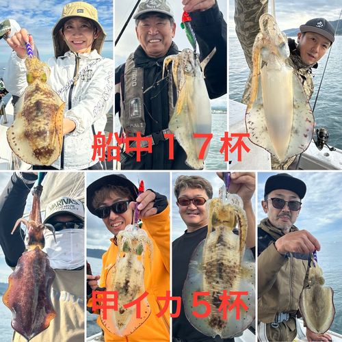 アオリイカの釣果