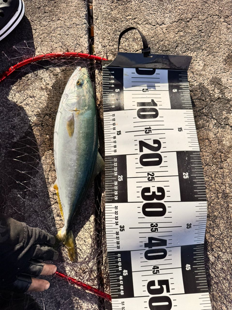 SHIMANO 20コルトスナイパー XR S96Mの最安値・インプレ・釣果