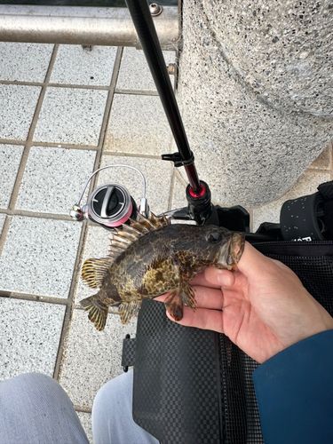 ベイサイドビーチ坂