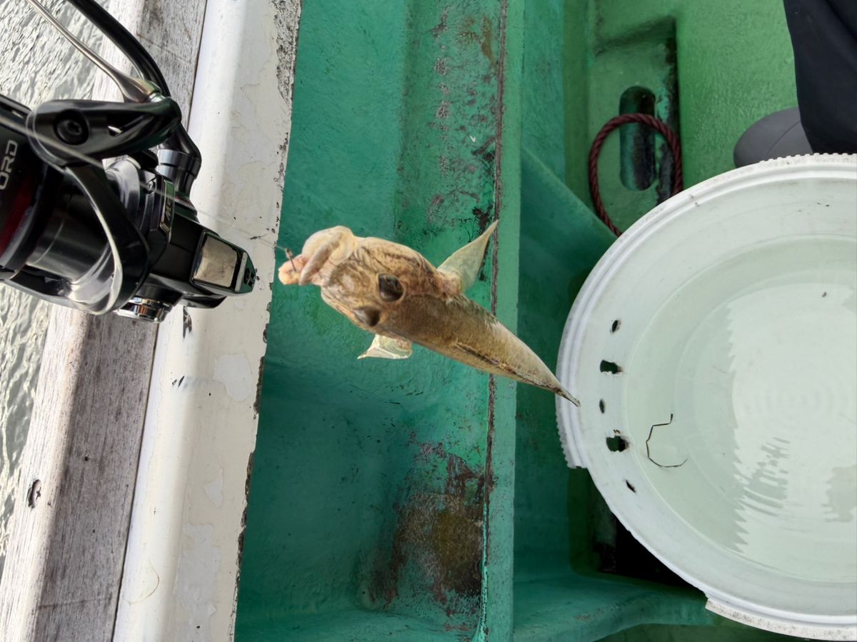 🌸慶次さんの釣果 2枚目の画像