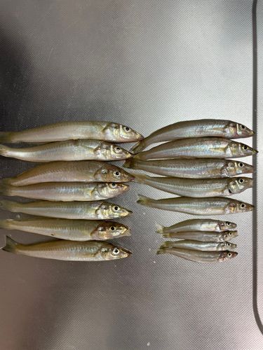 三浦海岸