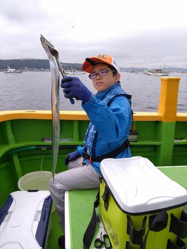 タチウオの釣果