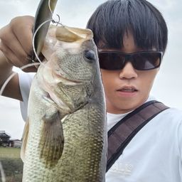 ブラックバス