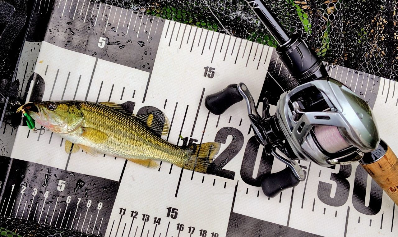 数時間だけの使用【美品】Daiwa 21ブレイゾン　C68L-2・BF tsurigu-yokoo_yn93741904