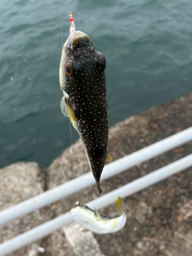 鹿島港魚釣園