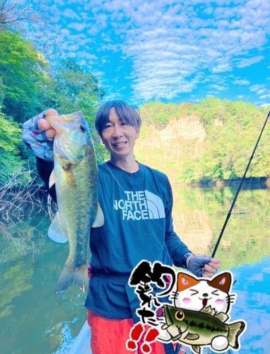 豊英ダム