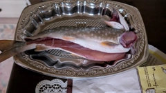 アメマスの釣果