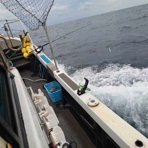 ネリゴの釣果