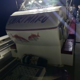 マダイ